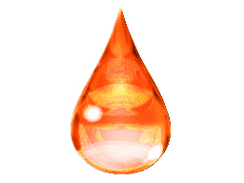 Apricot Flavour 5ltr
